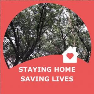 Meet your Posher, Sun